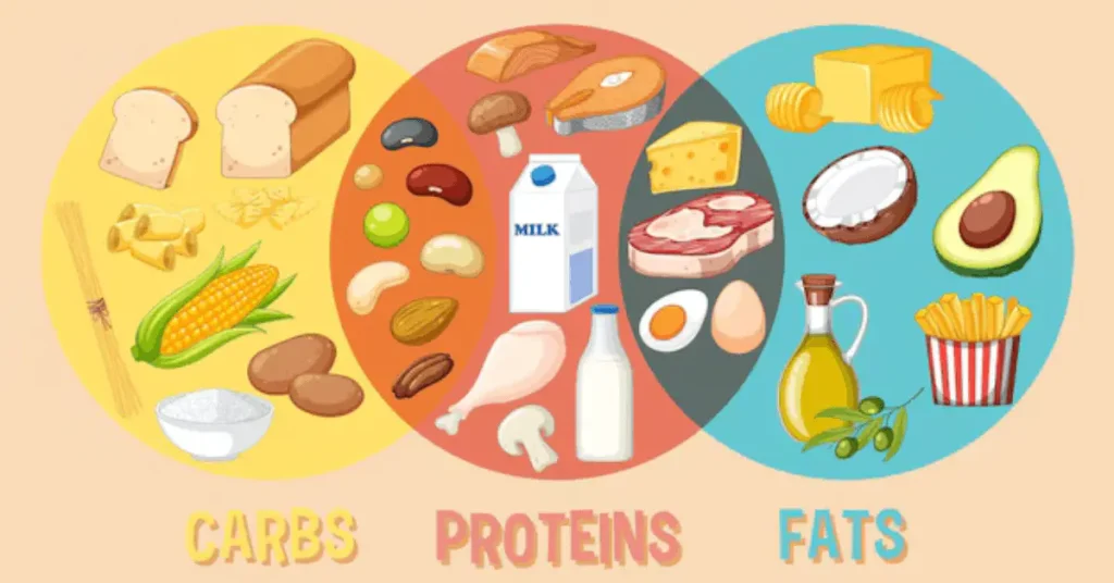 Cookout Nutrition Table 1 Cookout Nutritional Information
